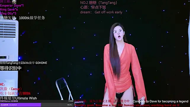 CCTW-100 Show Webcam