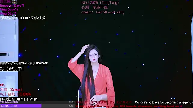 CCTW-100 Webcam Show