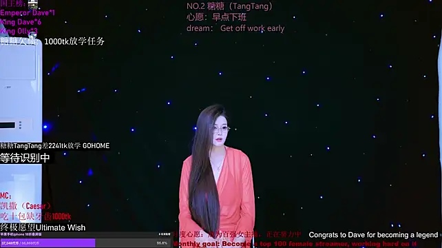 CCTW-100 Show Webcam