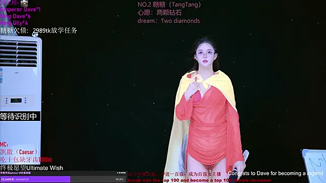 CCTW-100 Webcam-Show
