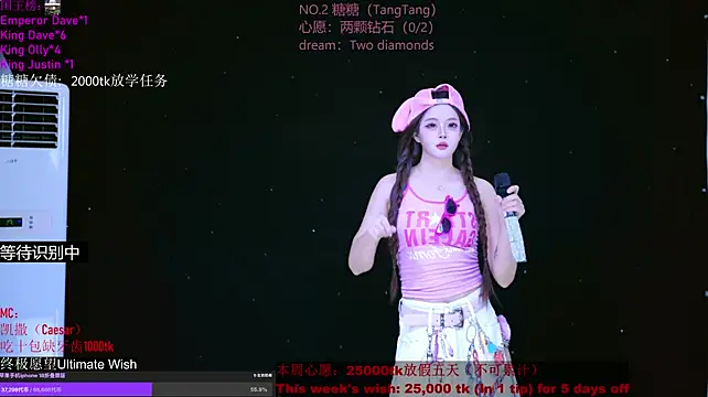 CCTW-100 Show Webcam