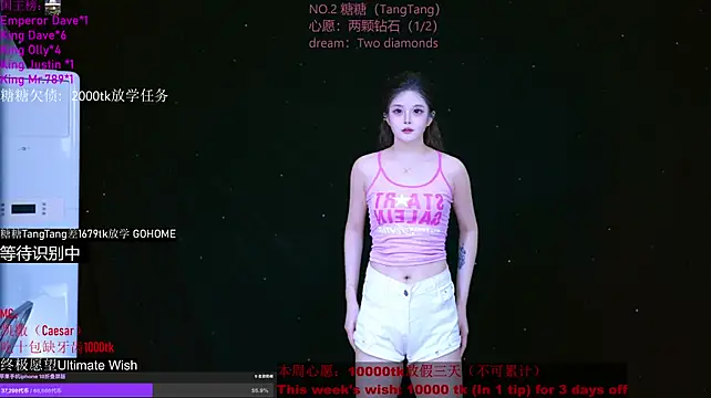 CCTW-100 Show Webcam