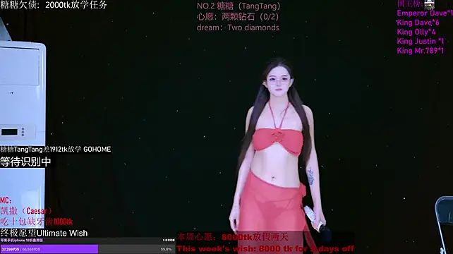 CCTW-100 Show Webcam