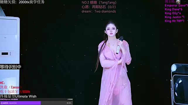 โชว์เว็บแคมของ CCTW-100