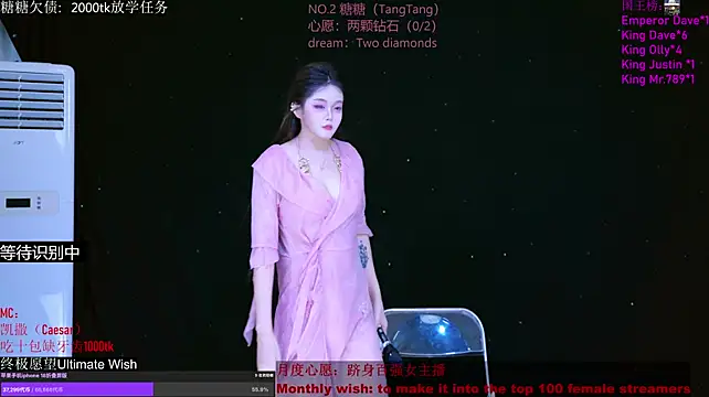 โชว์เว็บแคมของ CCTW-100