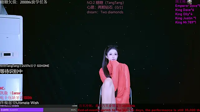 CCTW-100のウェブカメラショー