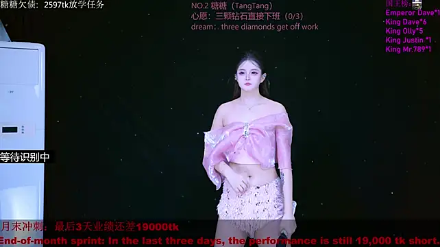 CCTW-100 Show in webcam