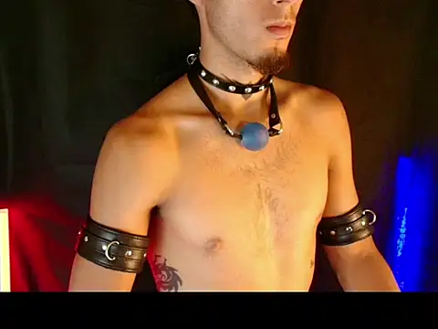 Show webcam de dark_men1
