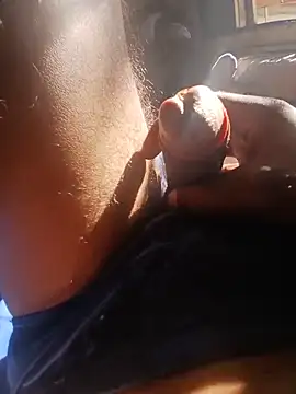 Show de thundercts31 na webcam
