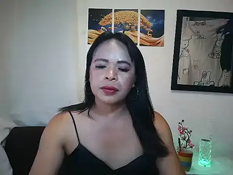 Show Webcam de ericum06