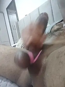 Jorge3840 webcam show