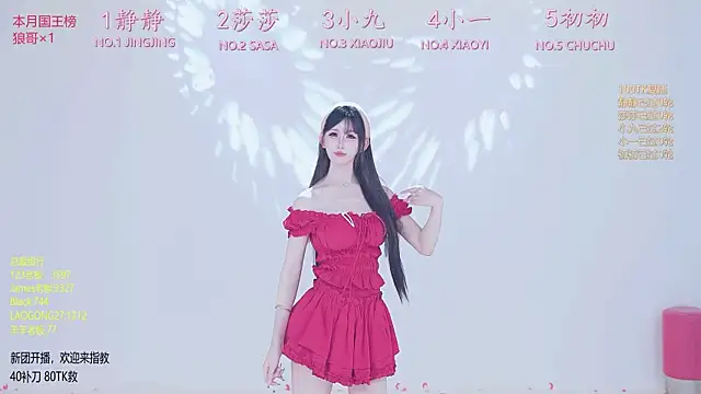 TY-002 网络视讯表演