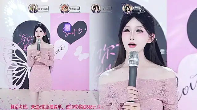 TY-002 Show Webcam