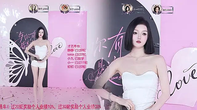 TY-002 Show Webcam
