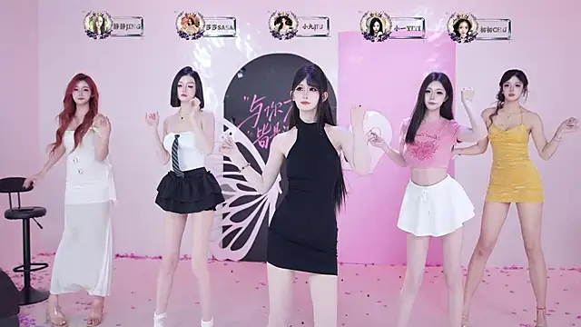 Show modela TY-002 na web-kameri