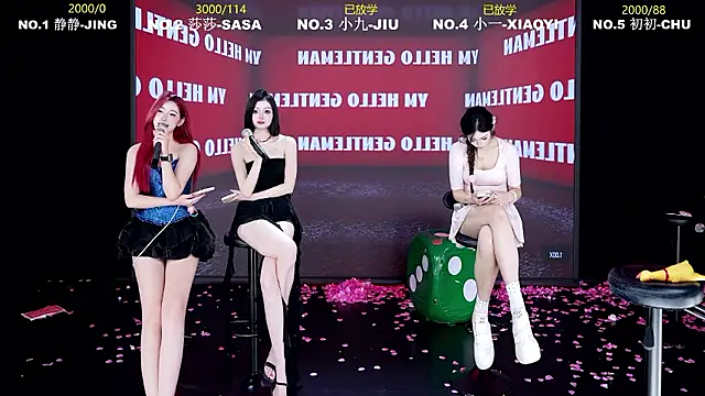 โชว์เว็บแคมของ TY-002