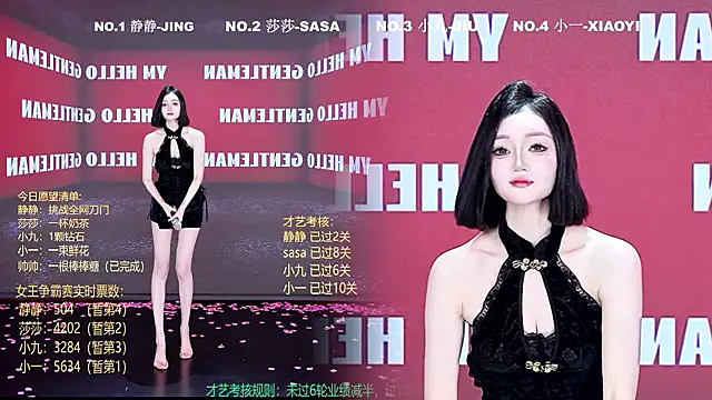 TY-002 Show Webcam