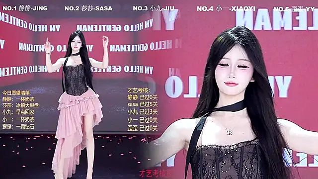 TY-002n Webbikameraesitys