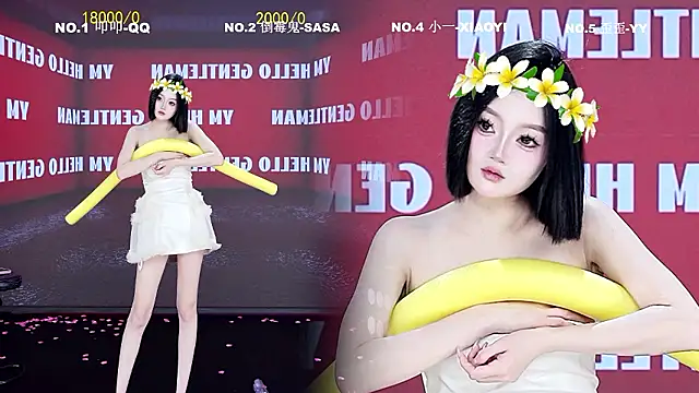 TY-002 网络视讯表演