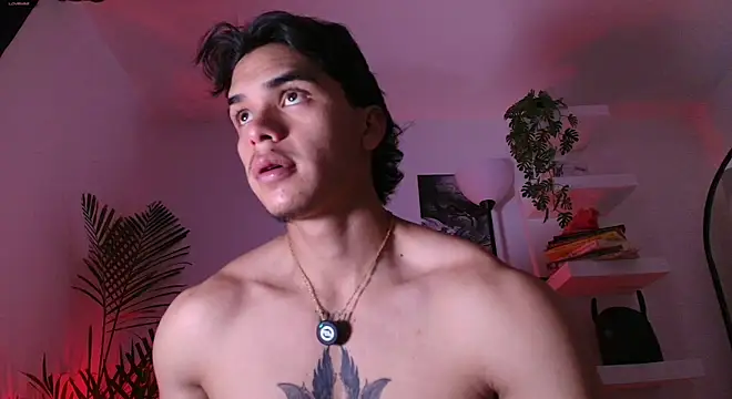 andyypalmer_ 网络视讯表演