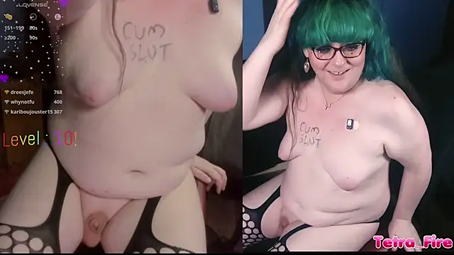 Show webcam de Tetra_Fire