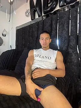 Show Webcam de willclayy