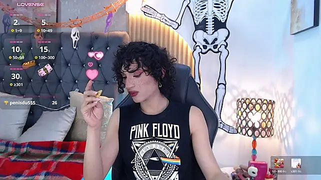 Anaciet_Evansn Webbikameraesitys