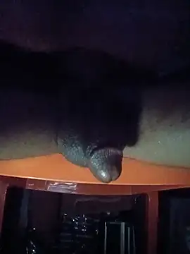 הופעת וובקאם של BroughtDick2daparty