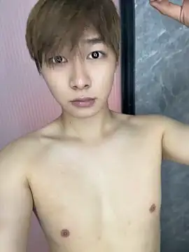 Vi_1314 Show Webcam