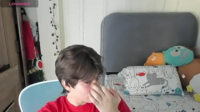 Show webcam de Felixzyn