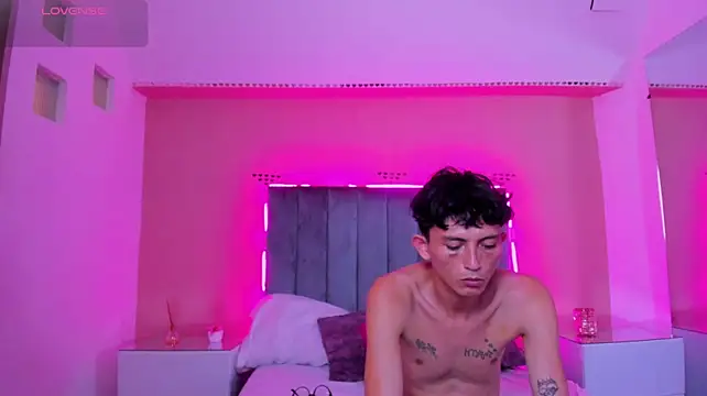 ARIANA_CRI-Xn Webbikameraesitys