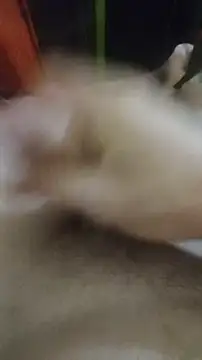 marcialillo8 Show Webcam