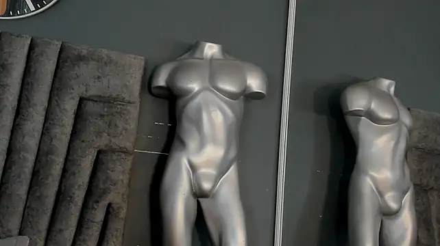 Show de Charlie___Musk na webcam