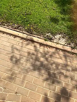 โชว์เว็บแคมของ MathiasBellucci