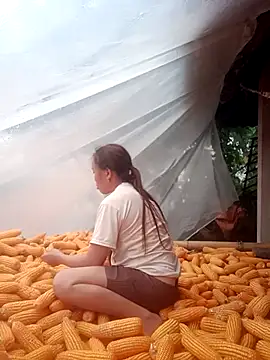 Chat ao vivo de phuongtrinh1