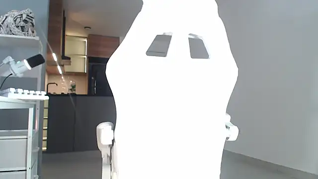 CaishenX_n Webbikameraesitys
