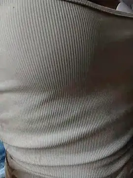 Sea-ice Webcam show