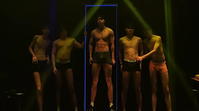 CH-YYDS-001 网络视讯表演