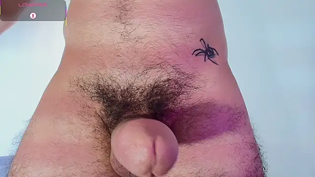 tommel_baileyn Webbikameraesitys