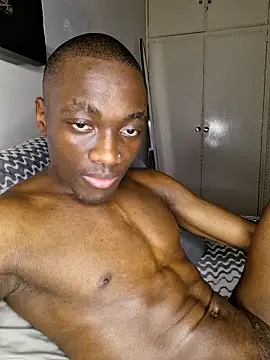 B-E_Temptationsn Webbikameraesitys