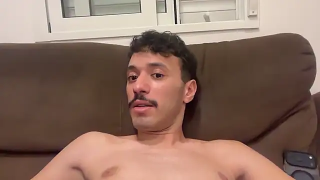 IBRAELM_n Webbikameraesitys