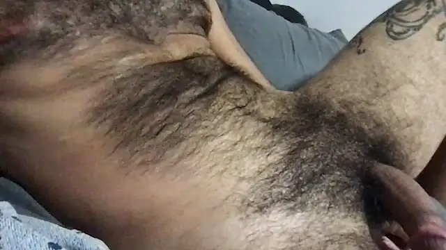 Show Webcam de codyross