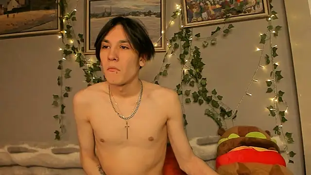 SolarFringe Webcam-Show