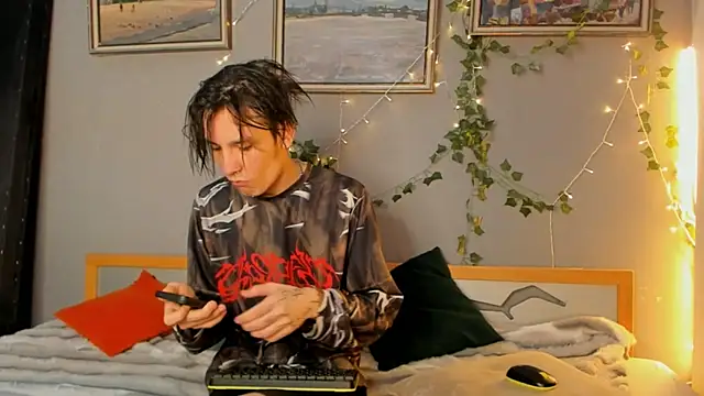 SolarFringe Show Webcam