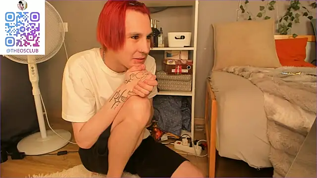 SolarFringe webcam show