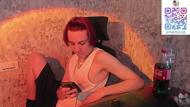 Show webcam de SolarFringe