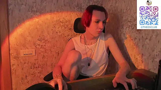 Show webcam de SolarFringe