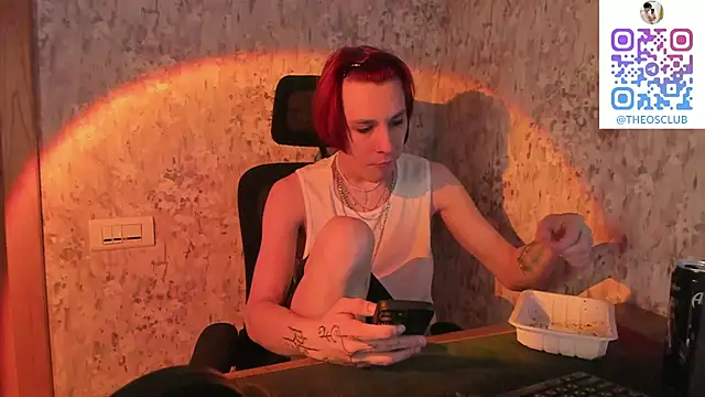 Show de webcam de SolarFringe