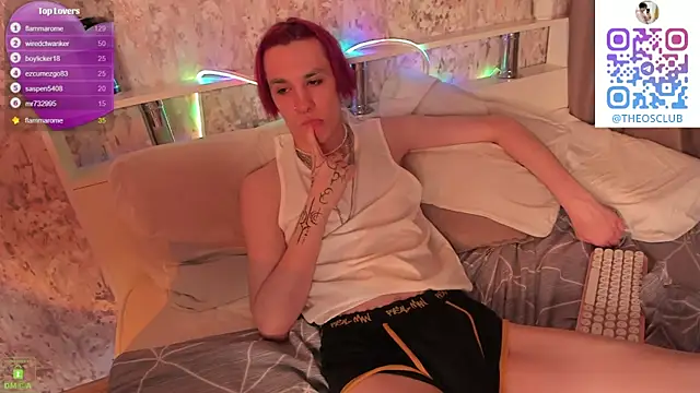 Show Webcam de SolarFringe
