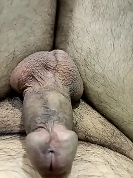 IndianMan0102 Webcam Show